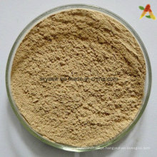 Extrato de grão de café verde Chlorogenic Acids Powder